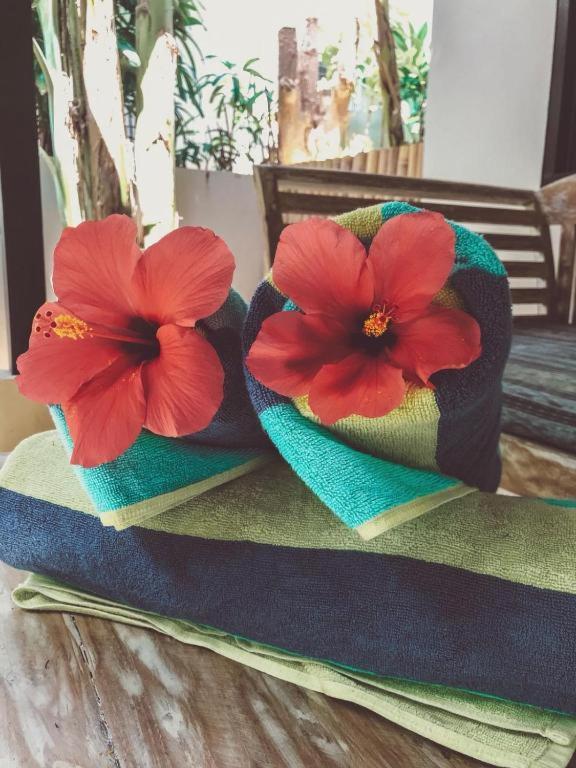 Pandana Boutique Vakantiepark 3*